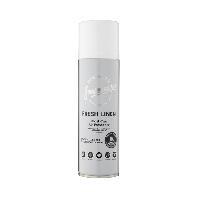 Desodorisant Auto - Parfum Auto Desodorisant Blast Can Fresh Linen 300ml -aerosol-