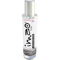 Desodorisant Auto - Parfum Auto Desodorisant spray Voyage a New York x10