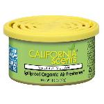 Desodorisant Auto - Parfum Auto Desodorisant MALIBU MELON