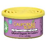 Desodorisant Auto - Parfum Auto Desodorisant SANTA BARBARA BERRY