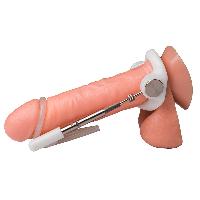 developpeurs-penis developpeurs-penis