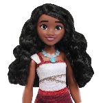 Poupee DISNEY PRINCESS - VAIANA Coffret duo  vaiana et maui - JDD43