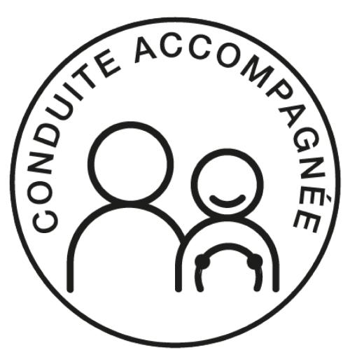 Stickers Multi-couleurs Disque Adhesif Conduite Accompagnee