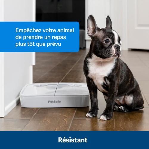 Distributeur D'aliment Distributeur automatique - PETSAFE - 2 repas - Plastique sans BPA - 300g capacité - Minuterie réglable