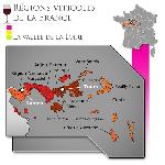 Vin Blanc Domaine du Tonkin 2022 Quincy - Vin blanc de Loire