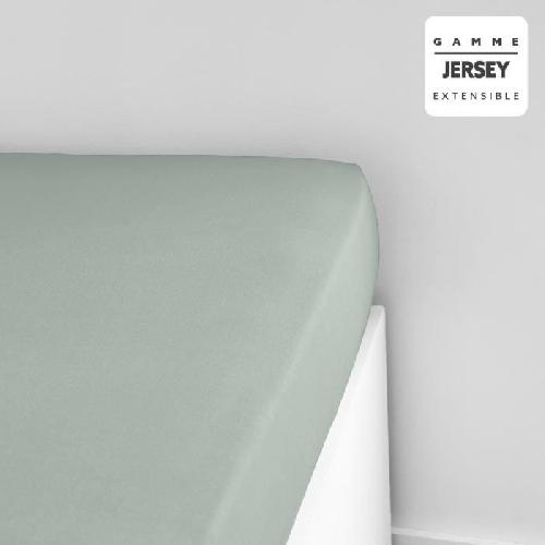 Drap Housse Drap housse TODAY Essential - 140 x 190+25 cm - 1 personne - 100% Coton jersey - Celadon