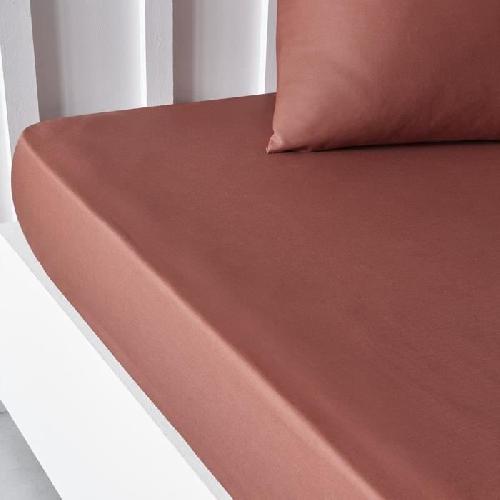 Drap Housse Drap housse TODAY Essential - 140 x 190 cm - 2 personnes - 100% Coton uni - Terracotta