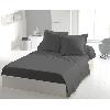 Drap Plat Drap plat - HOME LINGE PASSION - 180 x 290 cm - 1 personne - Anthracite