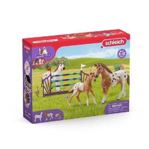 Figurine Miniature - Personnage Miniature Entraînement au concours du Horse Club. coffret schleich avec 17 éléments inclus dont 3 chevaux schleich. coffret figurines pour