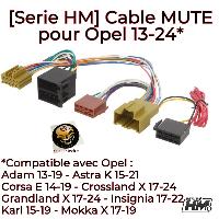faisceau-mute-opel