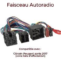 faisceau-mute-peugeot