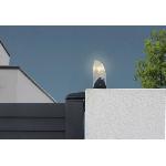 Accessoire Pour Motorisation De Portail Feu Clignotant a LED 24V antenne intégrée IP44 - FlashGate LED