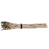 Fiche ISO Universelles Terminal Molex Mini Fit male. cable de 10 cm blanc