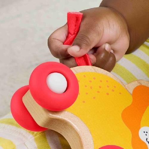 Jouet A Tirer - Jouet A Pousser FISHER-PRICE Animaux a pousser en bois os - JFN19