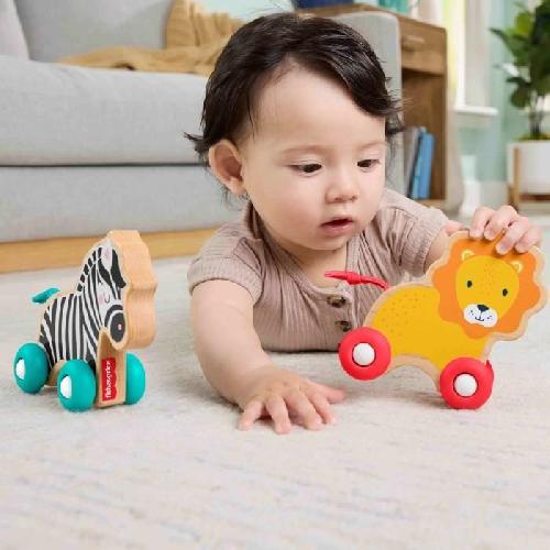 Jouet A Tirer - Jouet A Pousser FISHER-PRICE Animaux a pousser en bois os - JFN19