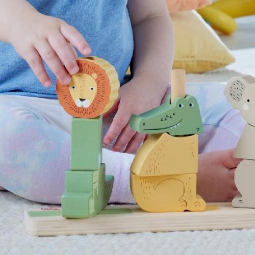 Jeu D'apprentissage Fisher-Price-Animaux en Bois a Empiler et Trier. 10 pieces HXV04