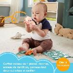 Jeu D'apprentissage Fisher-Price-Les Sens en éveil - Coffret 4 jouets sensoriels pour bébé - Fisher-Price - HRB17