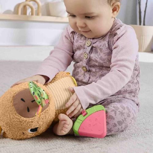 Jeu D'apprentissage Fisher-Price-Mon Capybara Câlins-Peluche Anneau De Dentition Et Hochet - Des 3 mois- HYR54