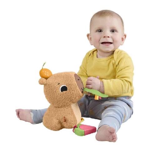 Jeu D'apprentissage Fisher-Price-Mon Capybara Câlins-Peluche Anneau De Dentition Et Hochet - Des 3 mois- HYR54