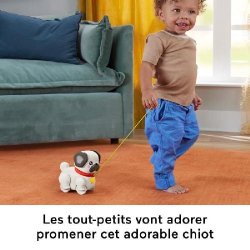 Jouet A Tirer - Jouet A Pousser Fisher-Price-Mon Carlin a Promener-Jouet a tirer pour bébé HTW94