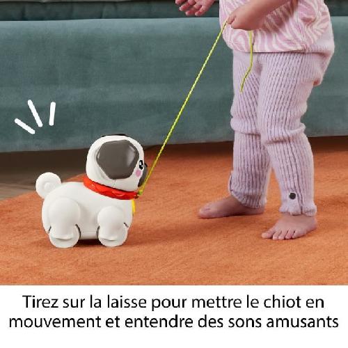 Jouet A Tirer - Jouet A Pousser Fisher-Price-Mon Carlin a Promener-Jouet a tirer pour bébé HTW94