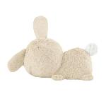 Peluche Fisher-Price-Mon Lapin Câlin - Peluche veilleuse - Jouet d'éveil - HXG97