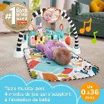 Imitation Instrument Musique FISHER-PRICE Tapis Piano éveil-Tapis d'activités avec éveil musical - Fisher-Price - HWY56