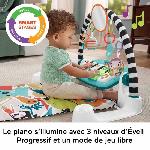 Imitation Instrument Musique FISHER-PRICE Tapis Piano éveil-Tapis d'activités avec éveil musical - Fisher-Price - HWY56