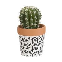 fleur-plante-artificielle-fleur-sechee