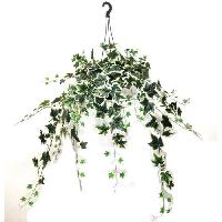 fleur-plante-artificielle-fleur-sechee