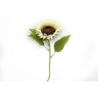 fleurs-coupees-bouquet