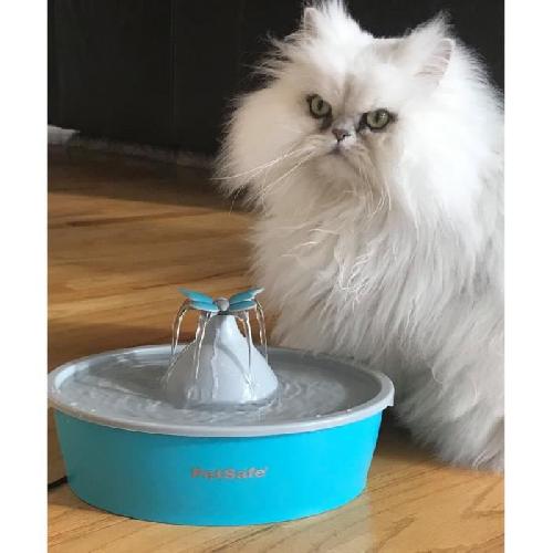 Fontaine A Eau Fontaine pour animaux - PETSAFE - Drinkwell Papillon - 1.5 L - Bleu et Gris - Intérieur