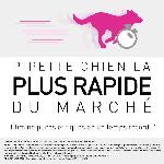 Antiparasitaire - Pipette - Lotion - Collier - Pince - Spray -shampoing - Crochet Tique Frontline Tri-Act chien - Anti-puces anti-tiques pour chien S - 5-10kg - 3 pipettes