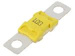 Fusibles pour auto ANL Fusible 100A 32VDC
