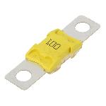 Fusible 100A 32VDC Fusible 100A 32VDC