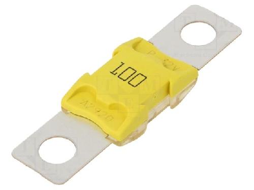Fusibles pour auto ANL Fusible 100A 32VDC