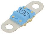 Fusibles pour auto ANL Fusible 100A 32VDC