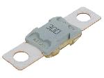 Fusibles pour auto ANL Fusible 300A 32VDC