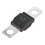 Fusible 40A 32VDC