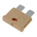 Fusible 5A 19mm UNIVAL x10