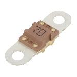 Fusible 70A 32VDC
