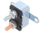 Fusibles Automatiques pour auto Fusible automobile 50A-12VDC