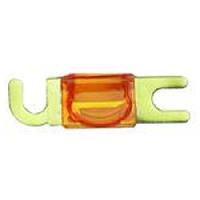 Fusibles Fusible mini ANL 100A gaufre dore