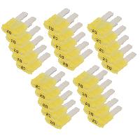 Fusibles Micro Fusible a broches 20A par 25