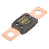 Fusibles pour auto ANL Fusible 100A 32VDC 78mV x5