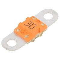 Fusibles pour auto ANL Fusible 30A 32VDC