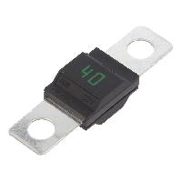Fusibles pour auto ANL Fusible 40A 32VDC x5 Fusibles pour auto ANL Fusible 40A 32VDC x5