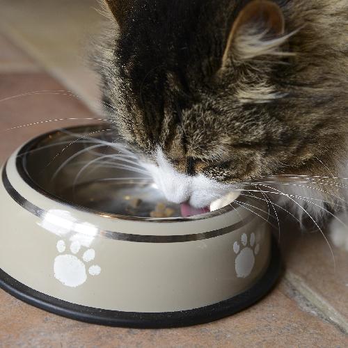 Accessoire Pour Repas gamelle inox S - Fidelami