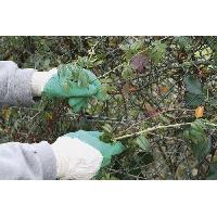 gant-de-chantier gant-de-chantier