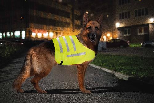 Gilet De Securite - Kit De Securite - Triangle De Securite Gilet de securite XL pour chien